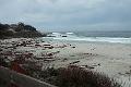 Carmel 10-30-08 235